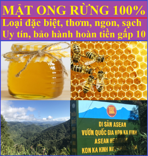 Trợ giá dùng thử 100ml mật ong rừng tây nguyên chuẩn 100%, loại đặc biệt - ảnh sản phẩm 1