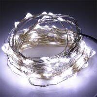 Dc ทองแดง10เมตร100 Led โคมไฟลูกปัดกันน้ำ Ip65ประหยัดพลังงานไฟสตริงสำหรับปาร์ตี้คริสต์มาสตกแต่งบ้าน