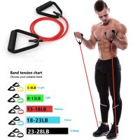 【CW】 Pull Rope 5 Levels Resistance Bands With Handles Elastic Exercise Tube Band Workouts Training