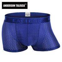 ANDERSON TALISCA Brand Silk Hollow New Mens Boxers Underwear Men Boxer Ropa Interio Man Penis Cueca Masculina Size M-3XL E248 Pipe Fittings Accessorie