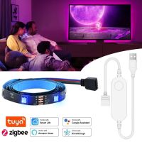 Smart Zigbee USB Led Lights Tuya Wifi RGB LED Strip Ligh Set DC5V 5050 Smart Led TV Back Lighting Work With Alexa Google Home