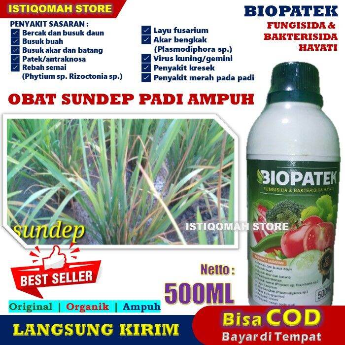 Obat Sundep Padi Paling Ampuh Biopatek 500ml Fungisida Dan Bakterisida