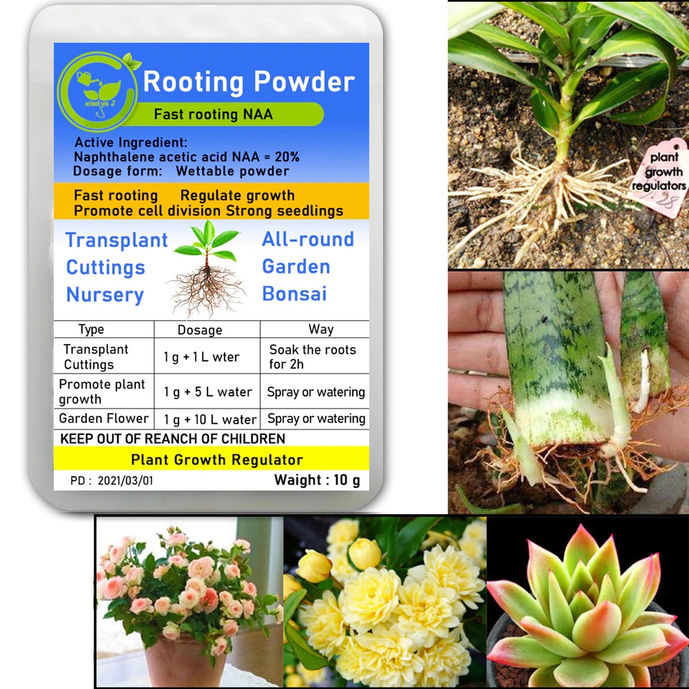 Paclobutrazol Bonsai Plant growth regulator Growing Delayed Aid Fertilizer 40g 