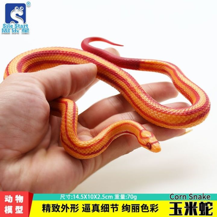 solid-simulation-model-of-animal-toys-reptiles-suit-children-cobra-gold-python-emperor-python-ball-pythons