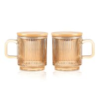 2Pc Glass Coffee Cup with Lid Glass Coffee Mugs Ribbed Coffee Glasses with Handle for Latte Cappuccino Tea Milk