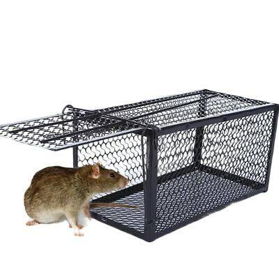 RAT/MOUSE TRAP HEAVY DUTY | Lazada PH