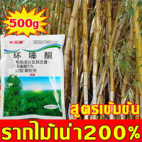 ยากำจัดต้นไม้ 500g สารกำจัดกอไผ่ ผงกำจัดต้นไผ่ ยาฆ่าตอไม้ สูตรเข้มข้น กำจัดวัชพืชรากเน่า ผลติดทนนาน ไม่เป็นอันตรายต่อดิน บอกลาการตัดต้นไม้ด้วยตนเอง ยากำจัดกอไผ่ กำจัดต้นไม้ กำจัดกอไผ่ ผงกำจัดกอไผ่ ปุ๋ยกำจัดกอไผ่ สารกำจัดต้นไม้ ยาฆ่าหญ้