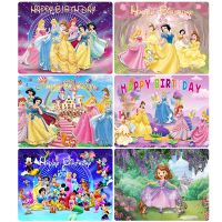 【Fun party】【ด่วน】พื้นหลังวันเกิดของ DisneyParty Decors VinylParty ฉากหลังอุปกรณ์อาบน้ำเด็ก Cinderelia SofiaWhite