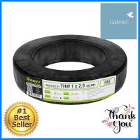 สายไฟ THW IEC01 RANZZ 1x2.5 ตร.มม. 100 ม. สีดำELECTRICAL WIRE THW IEC01 RANZZ 1X2.5SQ.MM 100M BLACK **สอบถามเพิ่มเติมได้จ้า**