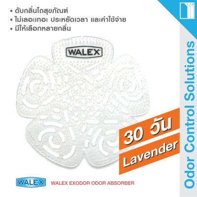 WALEX Bravo Urinal Screens - Lavender - ดับกลิ่นปัสสาวะเป็นเวลายาวถึง 30 วัน