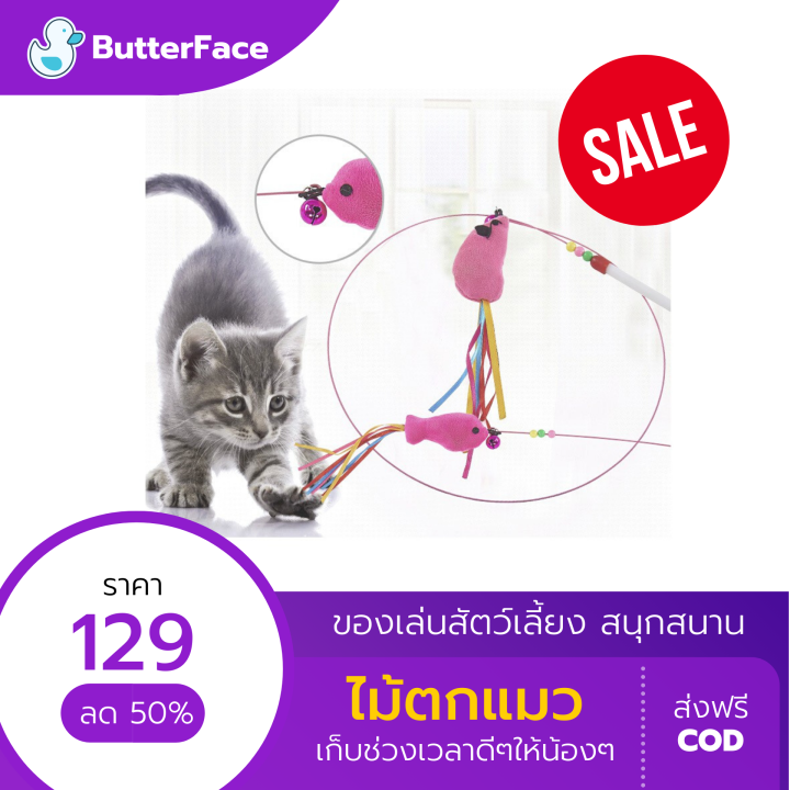 ไม้ตกแมว-แบบสปริง-ของเล่นแมวราคาถูก-อุปกรณ์สัตว์เลี้ยงหมาและแมว-สร้างช่วงเวลาดีๆระหว่างคุณกับน้องแมวที่น่ารัก-pet-toys-cat-and-dog-bait-spring