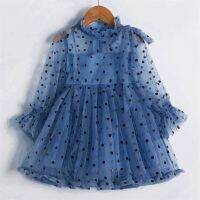 2022 Summer Lace Dress Children Long Sleeves Polka-Dot tutu Ball Gown Girls Birthday Party Kids Dresses for Girls Size 3-8 Years  by Hs2023