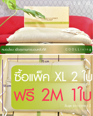 หมอนโซบะญี่ปุ่น หมอนร้อยปี Coolliving (Size XL 2 ใบ ฟรีหมอน 2M 1ใบ) หมอนสุขภาพ หมอนบัควีด ลดอาการปวดคอ ปวดต้นคอ ลดอาการกรน รองรับการหนุนศีรษะที่ดี