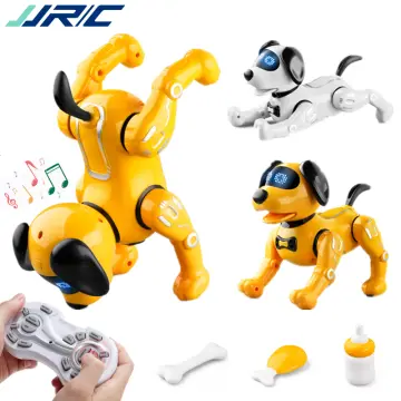 JJRC R18 2.4G RC Robot Gesture Sensor Smart Programming Intelligent RC Toys