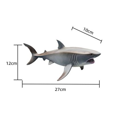 Childrens toys simulation model of Marine animal model of giant grey nurse sharks whales aquarium simulation model of male