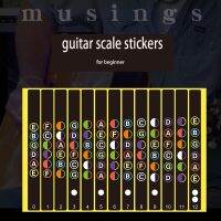 【hot】☑❀﹍  Scale Pattern Stickers for Beginners No Glue Musical Instrument Accessories Abecedarian Trainer