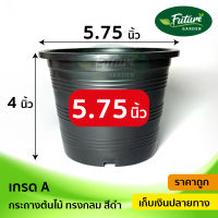 กระถางพลาสติก 5.75นิ้ว 10-50ใบ สีดำเกรดA กระถางปลูกต้นไม้ ราคาถูกมาก