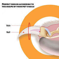 ร้อน Benepaw มืออาชีพตัดเล็บสุนัขเหมาะกับการทำงานลื่นคู่วงกลมตัดหลุมลูกสุนัขสัตว์เลี้ยงตัดเล็บแมวกรูมมิ่งเครื่องมือ