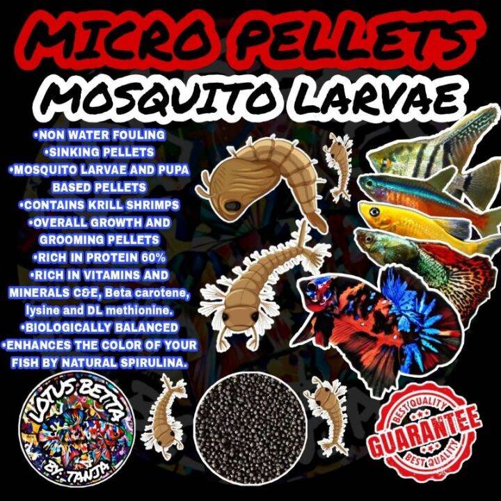 10Grams KITI-KITI PELLET MOSQUITO LARVAE MICRO PELLETS MOSQUITO PELLET ...