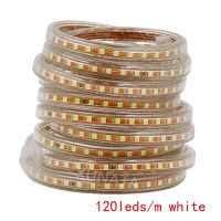 【☊HOT☊】 na07037036036666 ไฟแถบไฟ Led 2835สามแถว276ดวง/ม. 220V 240V เทปแอลอีดีกันน้ำเชือกให้ความอบอุ่นไฟประดับบ้านใหม่