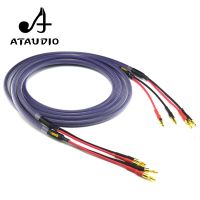 Hifi Speaker Wire Hi-end Amplifer Speaker Interconnection Fever Speaker Cable