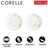 Corelle Lilyville จานอาหาร จานแก้ว ขนาด 7 นิ้ว (18 cm.) จำนวน 2 ชิ้น [C-03-106-LV-2]