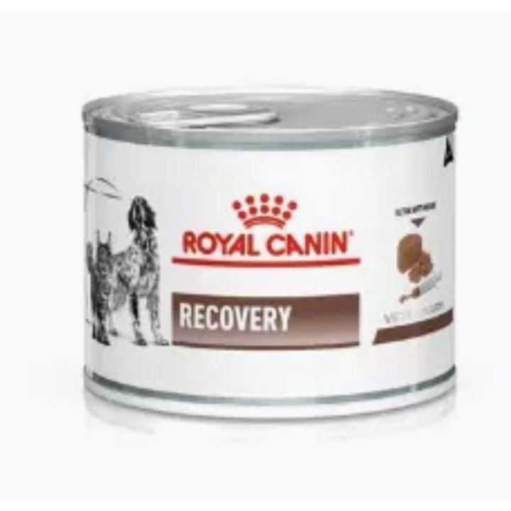 [ ส่งฟรี ] ยกแพ็ค12กป.Royal Canin Recovery Cats Dogs อาหารสุนัข แมว พักฟื้นหลังผ่าตัด กระป๋อง 195g 12