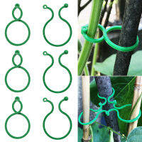 2050100 Pcs Vine Strapping Clips Plant Climbing Wall Fixture Clips Plant Bundled Support Growing Upright Holder Garden Tool