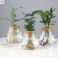 Terrarium การขยายพันธุ์พืชไฮโดรโปนิกส์กระถางดอกไม้พืช Hydroponic สำหรับการตกแต่งการศึกษาสำนักงานบ้าน6 Uijujkj