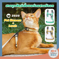 [Fish &amp; Bone] Zeze สายจูงแมว สายจูงสุนัข พร้อมสายรัดอก Pet Harness + Leash ปลอกคอแมว ปลอกคอสุนัข