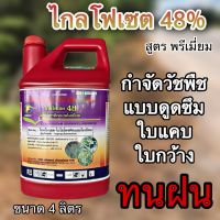 ไกลโฟเซท48% จีแพะ แกนลอนแดง 4ลิตร(สูตรทนฝน) สารกำจัดวัชพืช แบบดูดซึมไม่เลือกทำลาย กำจัดวัชพืชใบแคล ใบกว้าง ตายยันราก ตายนาน