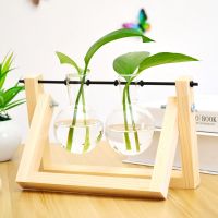 Creative Wooden Frame Hydroponic Plant Glass Vase Transparent Glass Flowerpot Container Tabletop Ornament Vase Potted Ornament