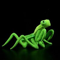 Lifelike Chinese Mantid Plush Toys Real Life Insect Mantis Stuffed Animals Toy Soft Educational Rearhorse Toys For Kids