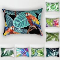 【CW】✱  plant cushion decoration pillow home bedroom living room pillowcase