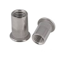 Stainless Steel Rivet Nut Flat Head Threaded Riveter Nut Cracker for Reliable Fastening