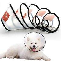 Health Surgery Wound Healing Anti-bite Protection Cover Pets Protective Collar Elizabethan Collar Neck Cone Recovery