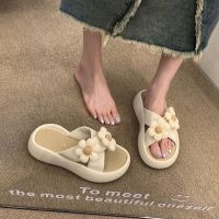 Sandals Female Internet Celebrities 2023 New Wearable Fashionable Thick-Soled Beach Non-Slip Slippers