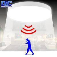 LED Ceiling Light 12W 24W PIR Motion Sensor Modern Lamp Surface Mounted Auto Smart Sounds Control AC 220V Round Panel Light