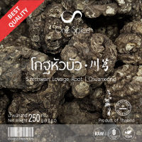 OneSpice โกฐหัวบัว 250 กรัม (ครึ่งกิโล) | ชวงเกียง 川芎 Chuan Xiong | Dried Szechuan lovage Root | KHB One Spice