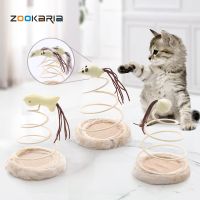 Cat Spiral Spring Toy