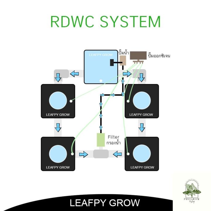 ready-stock-ส่งฟรี-ชุดปลูกไฮโดรโปรนิกส์-4-ต้น-ระบบ-rdwc-ต้นโตเร็ว-ผลผลิตเพิ่มขึ้น-hydroponic-rdwc-grow-setมีบริการเก็บเงินปลายทาง