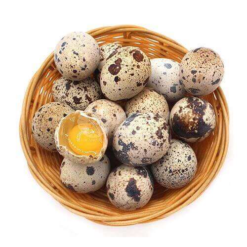 Yeah Fresh Quail Eggs (24pcs) Lazada PH