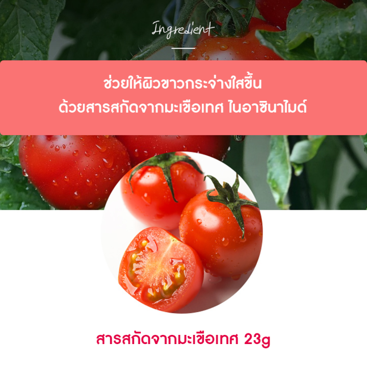 nature-republic-real-nature-tomato-mask-sheet-มาส์กหน้าบำรุงผิว-สูตรมะเขือเทศ-ผิวกระจ่างใส