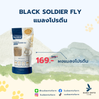 ผงแมลงโปรตีน Black Soldier Fly  ผงโปรตีนโรยอาหารสำหรับสัตว์ เพื่อเพิ่มความอยากอาหาร(SUDA)