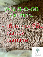 10,25กรัม ปุ๋ยหวาน ปุ๋ย (แบ่งบรรจุ) สูตร 0-0-60 เร่งแป้ง เร่งหวาน เพิ่มน้ำหนัก สีสัน