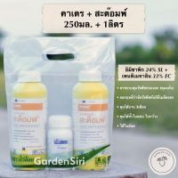 คาเดร + สะต๊อมพ์ (อิมิซาพิก 24% + เพนดิเมทาลิน 33%) สารคุมวัชพืชใบแคบ ใบกว้างในไร่อ้อยนาน3เดือน ขนาด 250มล.+1ลิตร