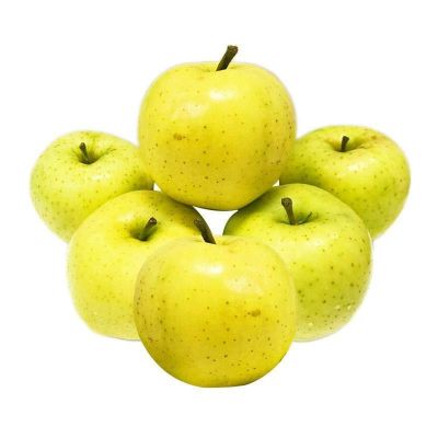 20 เมล็ด เมล็ดแอปเปิ้ล สายพันธุ์ แอปเปิล โทกิ ของแท้ 100% อัตราการงอก 70-80% Apple Seed มีคู่มือปลูก