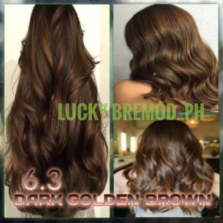 6.3 DARK GOLDEN BROWN Hair color Set with Oxidizing Cream(100ML) BREMOD Lazada PH