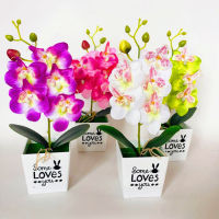 【cw】Outdoor Artificial Phalaenopsis Flower Potted Plastic Fake Plants Home Garden Decor With Pot Home Living Room Desktop Decoration ！