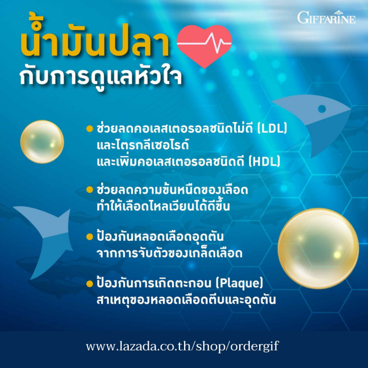 น้ำมันปลา-fish-oil-โอเมก้า3-ดีเอชเอ-ไขมันในเลือด-สมอง-ข้อเข่า-กิฟฟารีนของแท้